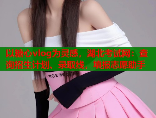 以糖心vlog为灵感，湖北考试网：查询招生计划、录取线，填报志愿助手